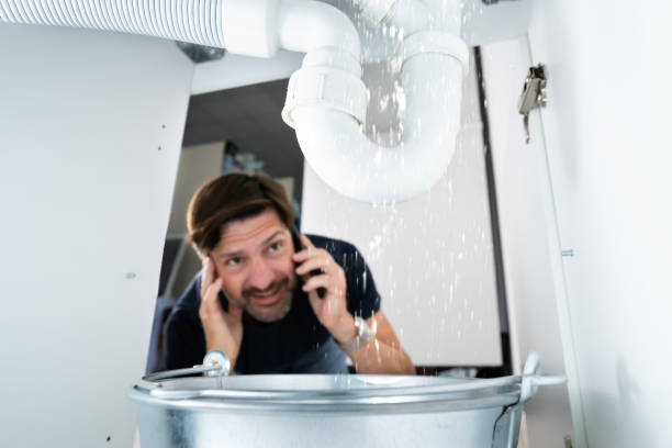 Best Sewer Line Repair  in Viola, NY